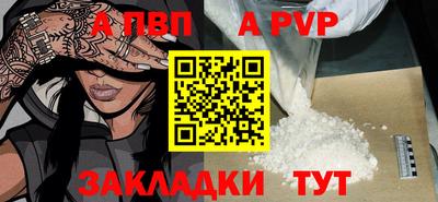 СК Новодвинск