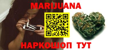 СК Новодвинск