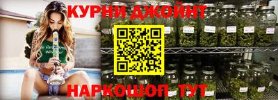 СК Новодвинск