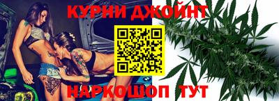 СК Новодвинск