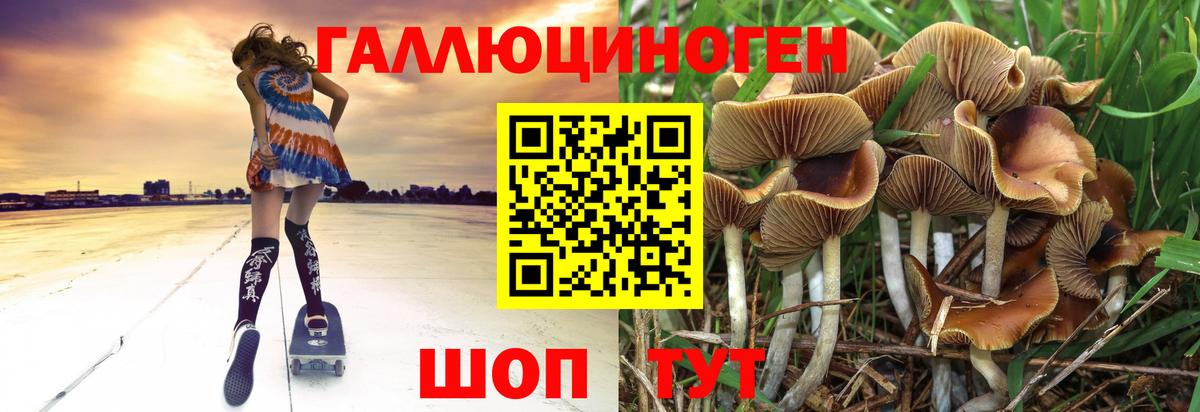 Псилоцибиновые грибы Cubensis  Вход с VPN  Тихвин 